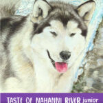 Baffin Taste of Nahanni River Junior - El Perro Online