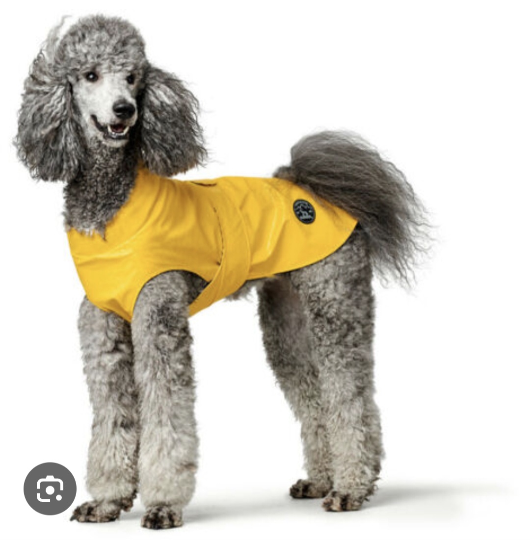 Ropa - El Perro Online