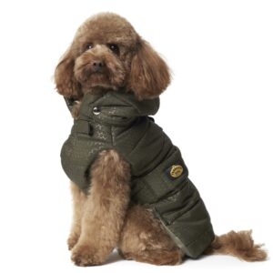Abrigo verde - El Perro Online