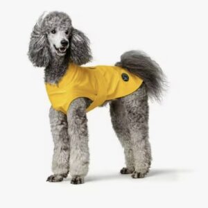 Chubasquero Milford Amarillo - El Perro Online