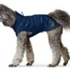 Chubasquero Milford Azul - El Perro Online