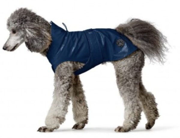 Chubasquero Milford Azul - El Perro Online