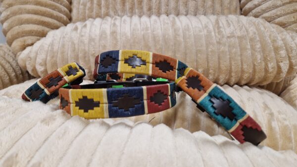 Collar Argentina - El Perro Online